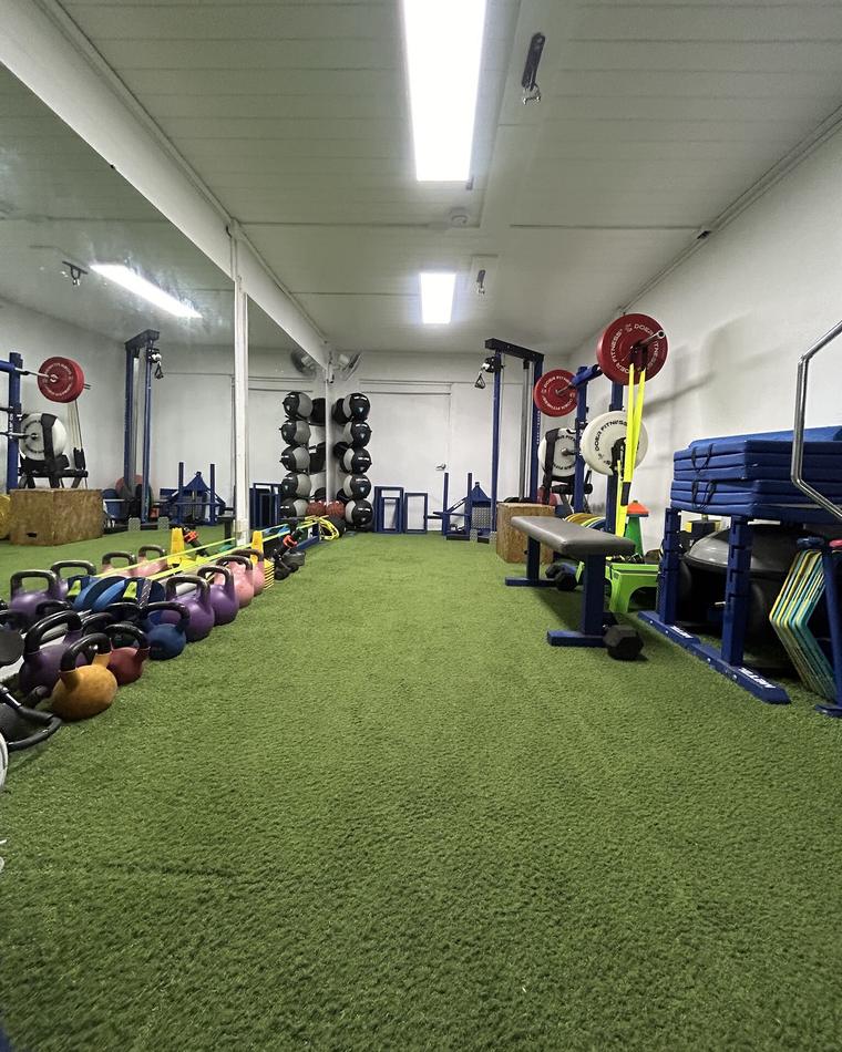 El gimnasio de la clínica: piso de césped sintético, pesas rusas, cajones y racks.